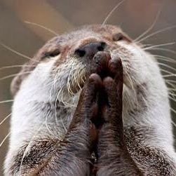 life_is_sweet2's profile picture. life between languages

🇰🇷🖤❤

🏴󠁧󠁢󠁥󠁮󠁧󠁿🤍