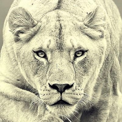 Will not answer dm’s and will delete and block if you pm me! #MAPLEMAGA stands for freedom #pierre4pm
