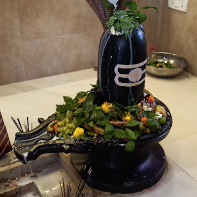 madhusarkar688's profile picture. I am a professional tutor.. Love to teach students..