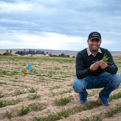 Assistant Prof & Director | @WSULindStation (1915 - present) | #DrylandAgronomy #SoilHealth | @OSUCBARC @utknoxville @uapbinfo @pau_ldh