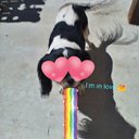 Oliver Parsons - @OliverPars63988 - Twitter