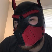 GamerPuppy (@puppyrevan) 's Twitter Profile