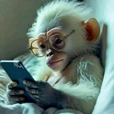 Dozzy12aA's profile picture. Best in Tennis 🎾, ⚽, Darts 🎯, Volleyball 🏐,and Football Prediction ⚓⚓
Crypto Lord.
Dm for Business and Partnership,  Manchester united Fan♨️
Tech newbie 💻