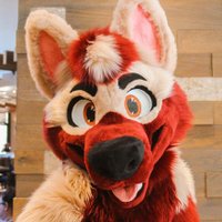 Ryan Hatfield (@ryanthemalamute) 's Twitter Profile