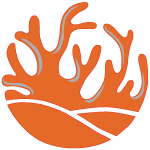 Stakepool Operator | Fixed fee: 170 | Margin fee: 0% | Ticker: CORAL | Mithril Signer | https://t.co/lQfccjOJnD | Extra tokens | Member of @AllianceXspo @CardanoSPA