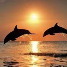 Sant_spb's profile picture. 