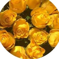 متفائله (@allll_211) 's Twitter Profile Photo متفائله (@allll_211) 's Twitter Profile Photo