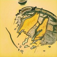 みう🇦🇫＠スマホ信者🍋 (@aprilstoke80475) 's Twitter Profile