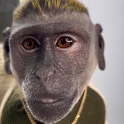 Bubbele123's profile picture. 