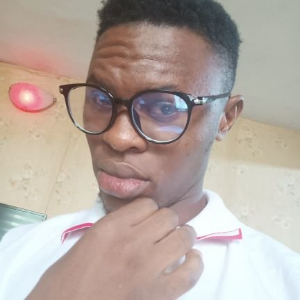 ighoemma481's profile picture. Frontend dev (React.js, tailwindcss SASS)