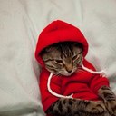 Andrew Inglis - @andrew_inglis_ - Twitter