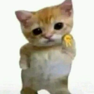 Esmeral243's profile picture. ✨