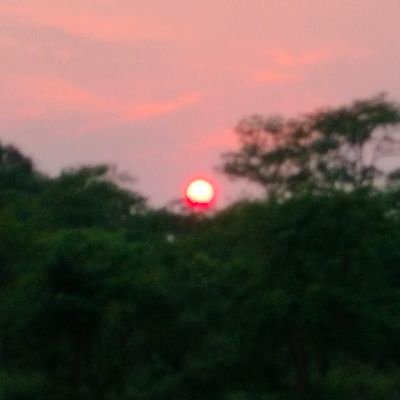 JavatechRay's profile picture. 