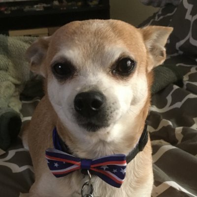 Rod_in_New_Mex's profile picture. 100% conservative, 100% Republic of Texas!