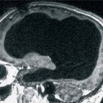 nobrainmatter's profile picture. #American,#FreedomFighter, Nothing to lose.  Watch me call you out on your BS