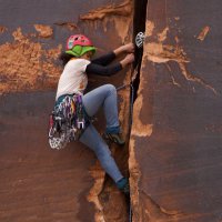 Angelique Allen (@climbing_octo) 's Twitter Profile