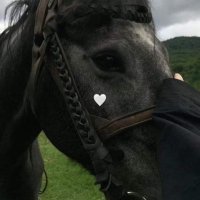 ✨ (@picvll) 's Twitter Profile