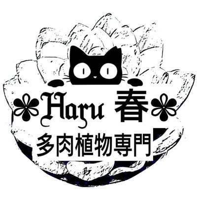 初めまして(⁠◍⁠•⁠ᴗ⁠•⁠◍⁠)
2023年4月22日に茨城県東茨城郡茨城町で
小さな多肉植物専門店✾Haru春✾を
オープンしました。
スタッフは人間１人とネコ１３匹です。
ネコ達も寄せ植え体験のお手伝いや
接客を担当させていただきます😺
のほほ〜んとしたお店です。
よろしくお願い致します(⁠ ⁠ꈍ⁠ᴗ⁠ꈍ⁠)