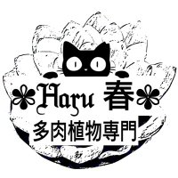 多肉植物専門店 ✾Haru春✾(@HaruHaru230422) 's Twitter Profile Photo