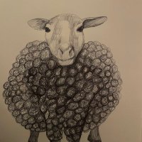 Breechybaby (@breechybaby) 's Twitter Profile Photo Breechybaby (@breechybaby) 's Twitter Profile Photo