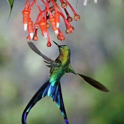 haming_bird3's profile picture. #Crypto_king

#BTC #BNB #ETH