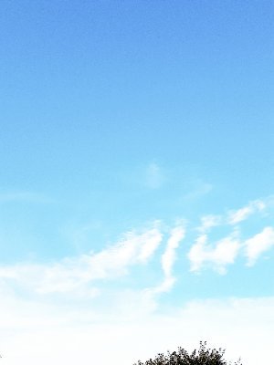 おもちさんのプロフィール画像