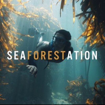 A documentary about our planet's most overlooked ecosystem, the kelp forests