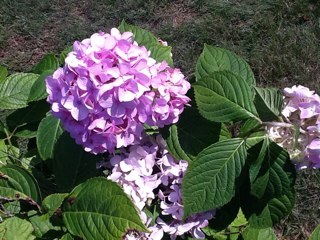 poneill331's profile picture. Owner of Cape Cod Sewing Creations. I make and sell homemade baby quilts,  memory bears, bags, wallets, and so much more. https://t.co/34aMWOfZdX