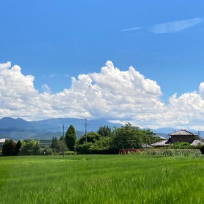 歌舞伎 尾上右近さん中村壱太郎さん 市川團十郎さん 無言フォロー失礼致します🙇♀️ 2023南座花形歌舞伎🌸初観劇 着物👘好き 長野安曇野