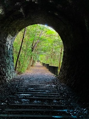 Hponkotsu_robot's profile picture. 気ままにノスタルジー･*:.｡. .｡.:*･゜
レトロ/廃線跡/遺構/隧道/輪行