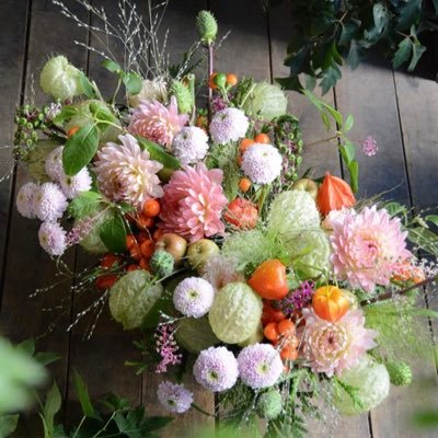 bVpalGPgBsgxW4C's profile picture. 