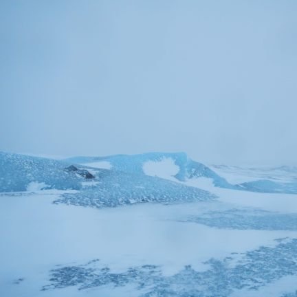 chiisailion's profile picture. 山歩きとフジロック楽しみ