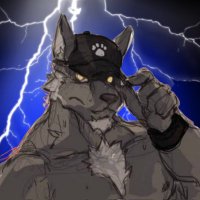 MESTRE LOBO 🔥🐺 (@brotherlobo) 's Twitter Profile Photo