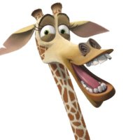 Giraffe (@giraffememe) 's Twitter Profile