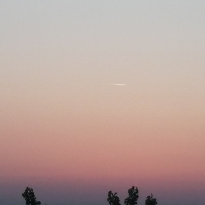 AndyZhu20397420's profile picture. 