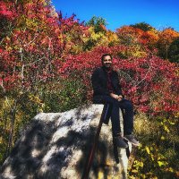 rajat arora (@rajatonit) 's Twitter Profile Photo rajat arora (@rajatonit) 's Twitter Profile Photo