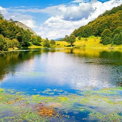 FriasAnai's profile picture. 