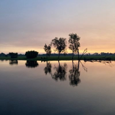 mamu_mamu222's profile picture. 