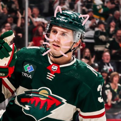 queer mn wild fan. goalie lover! 24