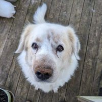 Roy Winter (@rwinter1319) 's Twitter Profile Photo