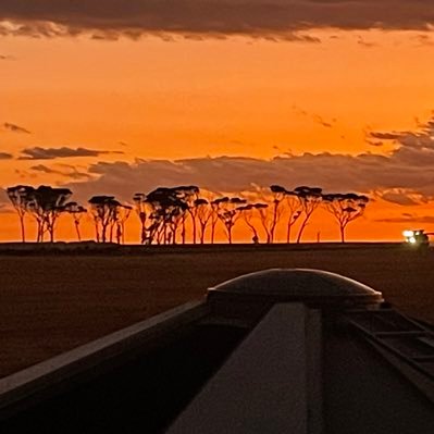 Farming in central Wheatbelt, Western Australia