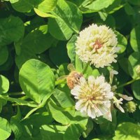 June (@june235518) 's Twitter Profile