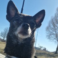 R0LX (@_r0lx) 's Twitter Profile