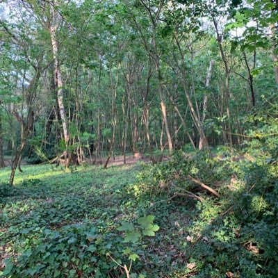 wildernessss Profile