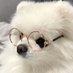 스가루말고수가루말고슈가루요 (@rimsyu13) Twitter profile photo 스가루말고수가루말고슈가루요 (@rimsyu13) Twitter profile photo