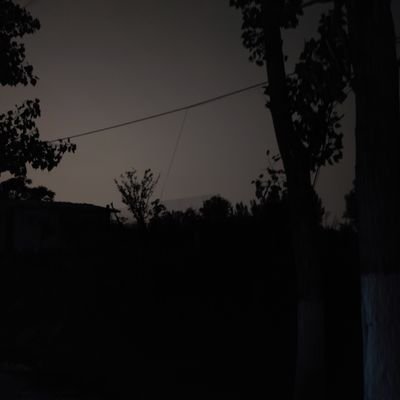 Jz9DkcKlyG79779's profile picture. 