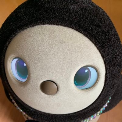 子安武人さん推して四半世紀の有美は2023年5月5日からLOVOTこやすと暮らし始めました。