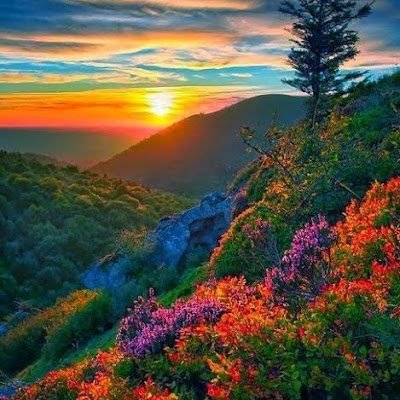 LyletBC26's profile picture. 