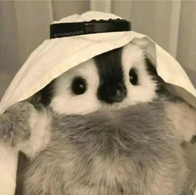 Mars100x's profile picture. Crypto student +Prometheans+ +PRIMATES+ +BOBU+