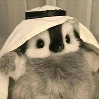 ANTIFRAGILE (@mars100x) 's Twitter Profile